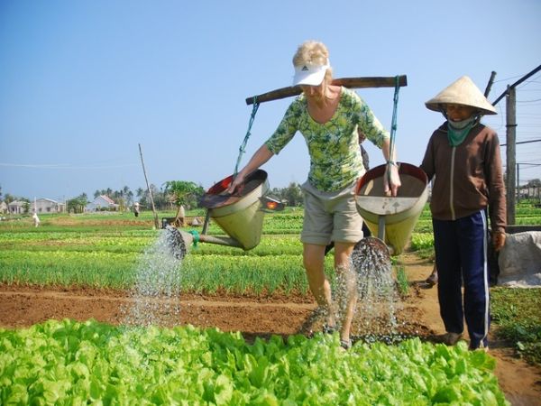 Best Hoi An Eco Cooking Class